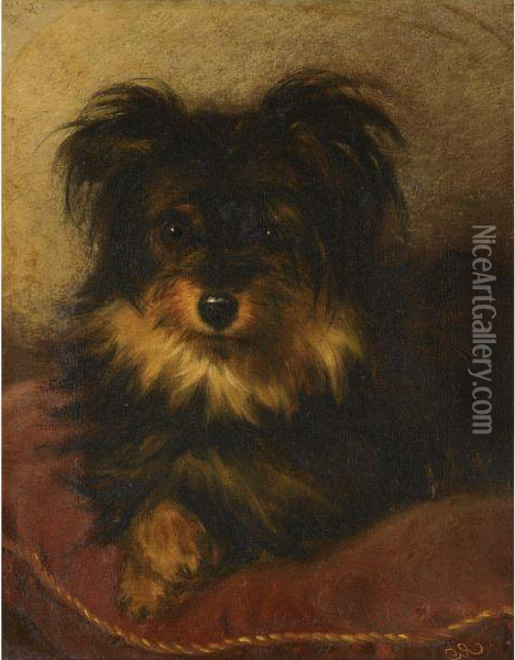 A Yorkshire Terrier On A Cushion Oil Painting - George Earl