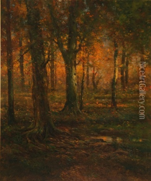Rock Creek Park, Sunset Oil Painting - Delancey W. Gill