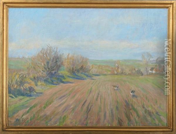Landscape With Northern Lapwings Oil Painting - Eigil Wendelboe Jensen