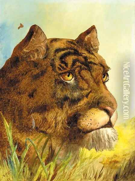 Head of a Tigress Oil Painting - William Huggins