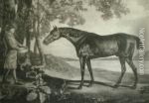 Horse And Groom; Mezzotint And Aquatint Oil Painting - George Stubbs