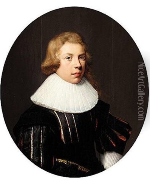 Portrait Of A Boy Oil Painting - Cornelis Jonson Van Ceulen