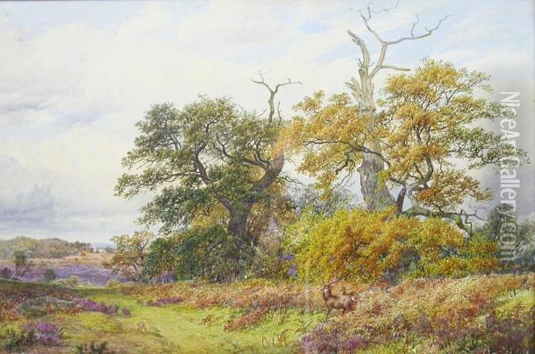 New Forest Scene With Stags Oil Painting - James Walsham Baldock