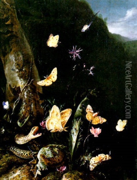 Nature Morte De Sous-bois Au Serpent Et Papillons Oil Painting - Otto Marseus van Schrieck