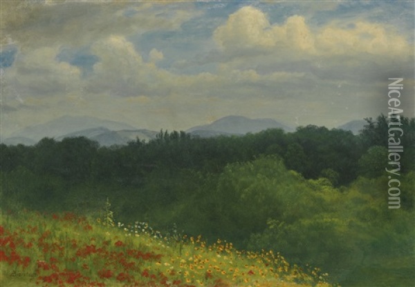 Field Of Red And Yellow Wildflowers Oil Painting - Albert Bierstadt