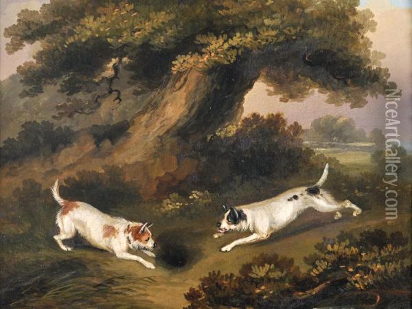 Terriers Rabbiting ; Foxes In A Wood Four Oil Painting - Richard Jones