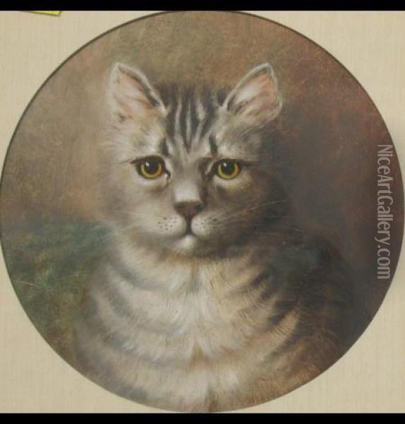Portrait Of A Cat Oil Painting - Louis William Wain