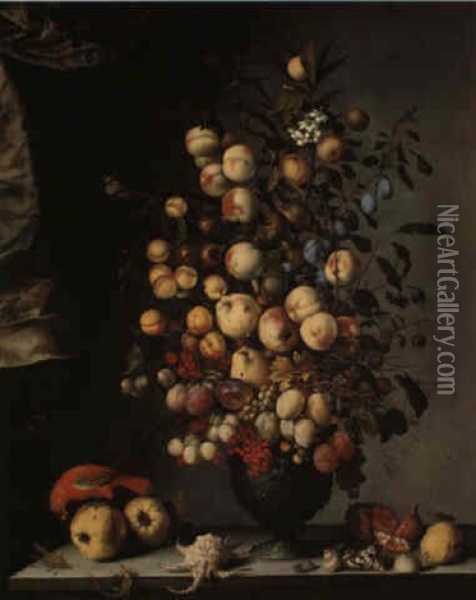 Still Life Of Fruit In An Urn, With Shells, A Parrot And Insects On A Ledge Oil Painting - Balthasar Van Der Ast