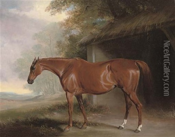 A Chestnut Hunter Outside A Stable Oil Painting - John E. Ferneley