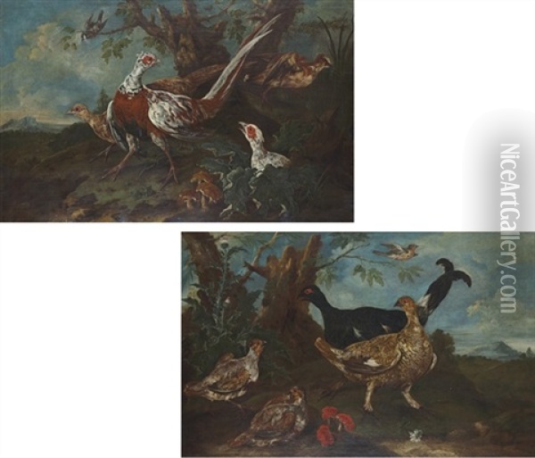 Pheasant In A Landscape (+ A Pheasant And Other Birds; Pair) Oil Painting - Philipp Ferdinand de Hamilton