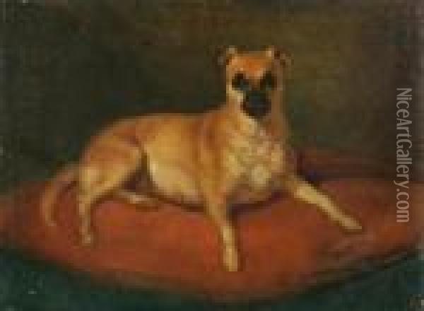A Lap Dog Oil Painting - Filippo Palizzi