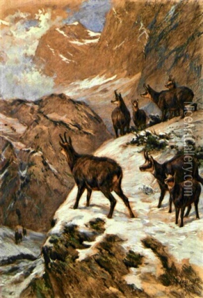 Gemsen Im Gebirge Oil Painting - Franz Xaver von Pausinger