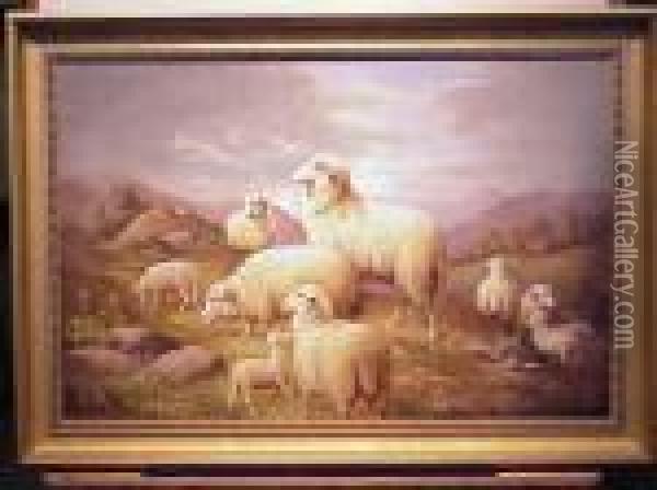 Sheep At Rest In The Hills Oil Painting - Susan C. Waters