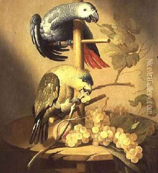 An African Grey and an Orange Winged Amazon Parrot on a Perch with Grapes Oil Painting - Jacob Fransz van der Merck
