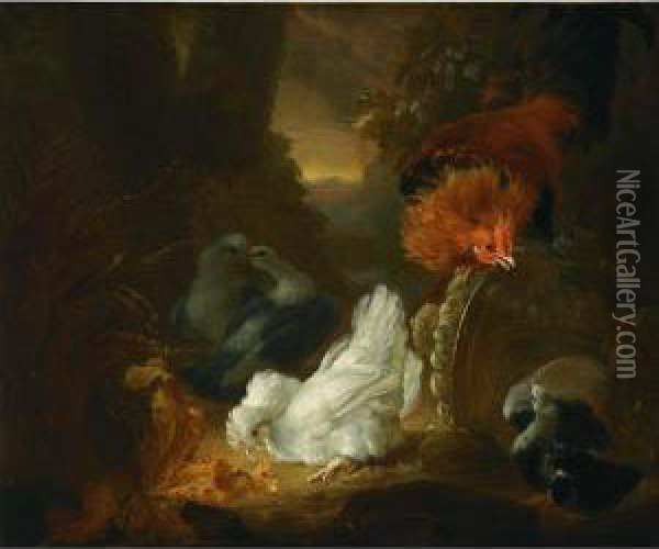 A Hen, A Cockerel And Pigeons In A Wooded Landscape Oil Painting - Abraham Bisschop