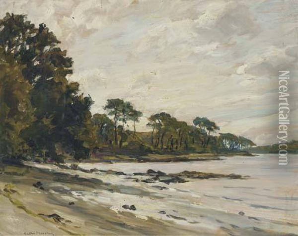 On The Wooded Shore Oil Painting - Andre Dauchez