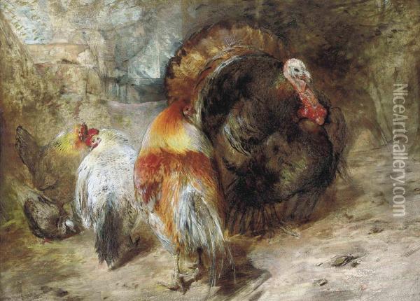 A Turkey, Hens And A Pigeon In A Farmyard Oil Painting - William Huggins