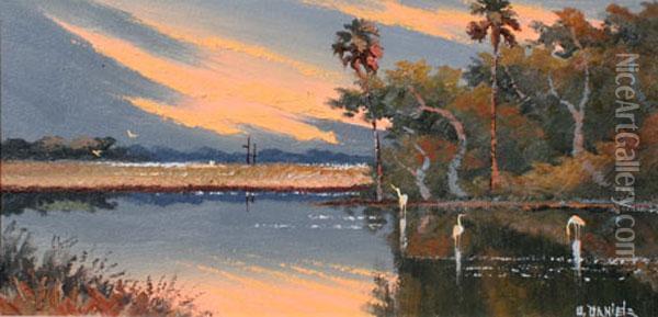 Sunset Backwater Scene With
 Birds Oil Painting - William Daniels