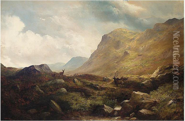 The Sanctuary On The Cairngorms Oil Painting - James Douglas Moultray