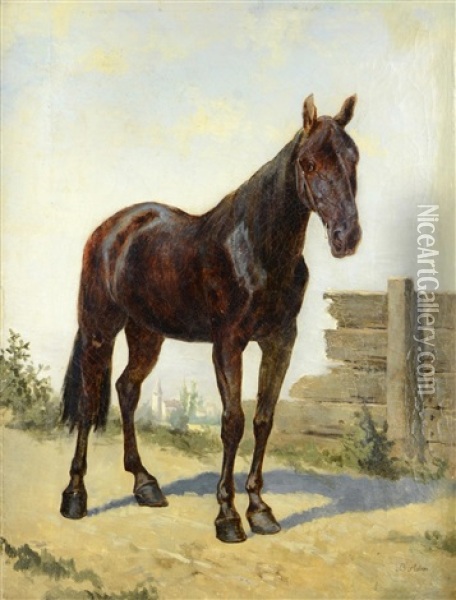 Bay Horse Oil Painting - Benno Raffael Adam