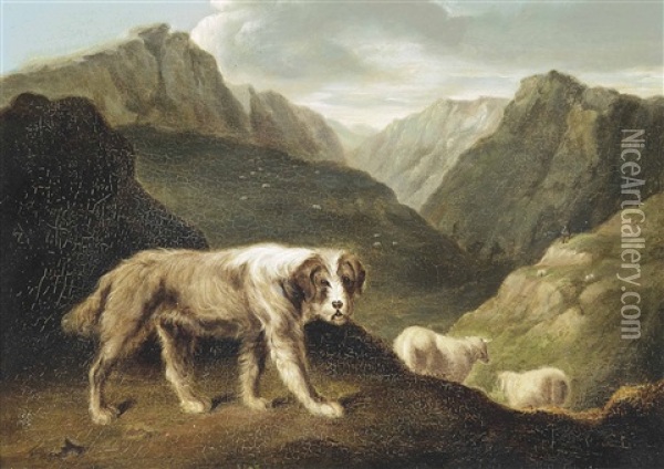 Sheepdog Oil Painting - Samuel Raven