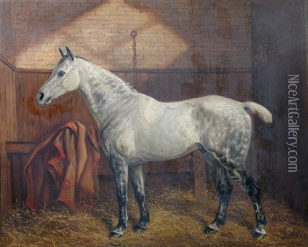 A Dappled Gray Hunter In The Stables At Westacre, Norfolk Oil Painting - Benjamin Cam Norton