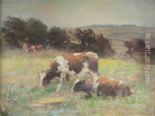 Cows Grazing In A Meadow Oil Painting - George Smith