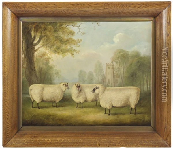 Sheep In A Landscape With A Church Beyond Oil Painting - William Henry Davis