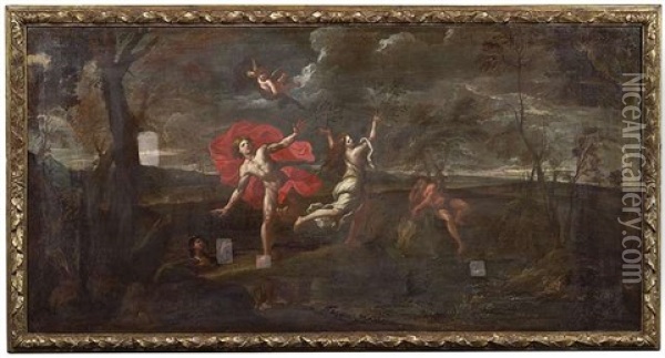 Apoll Und Daphne(+ Kephalos Und Prokris; Pair) Oil Painting - Pier Francesco Mola