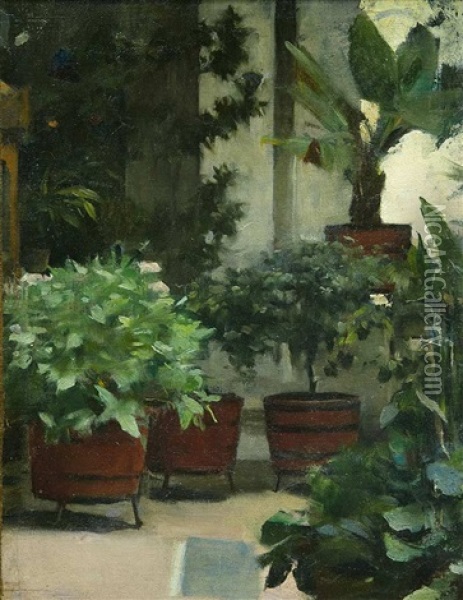 Jardin Del Artista Oil Painting - Ramon Casas