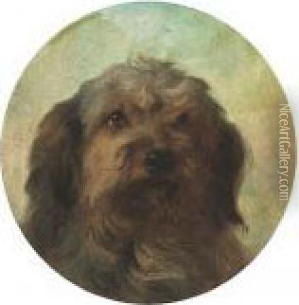 The Head Of A Collie Oil Painting - George Earl