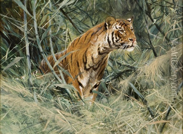 Tiger Oil Painting - Wilhelm Friedrich Kuhnert