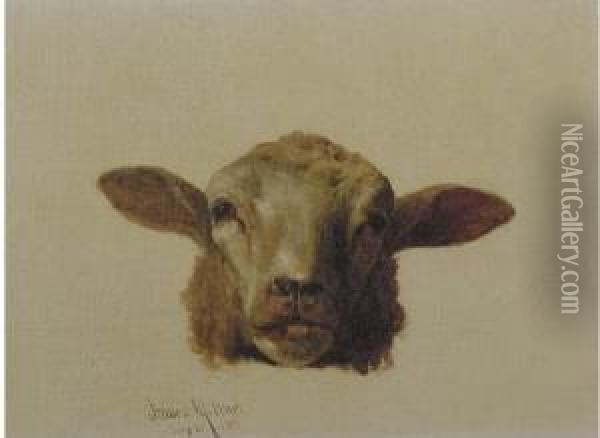 A Sheep's Head Oil Painting - James McDougal Hart