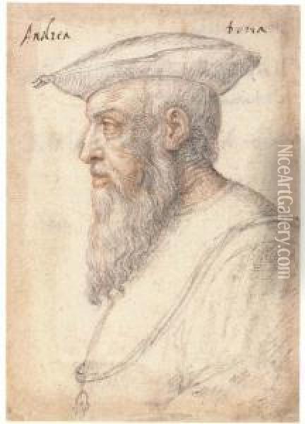 Portrait Of Andrea Doria In Profile To The Left, Wearing The Orderof The Golden Fleece Oil Painting - Federico Zuccaro