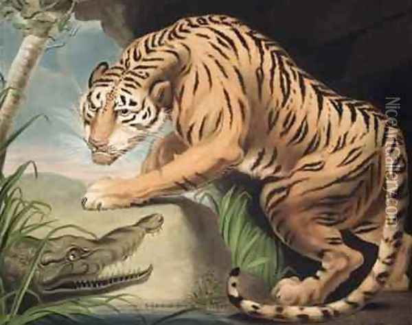 Tiger and Crocodile Oil Painting - James Northcote