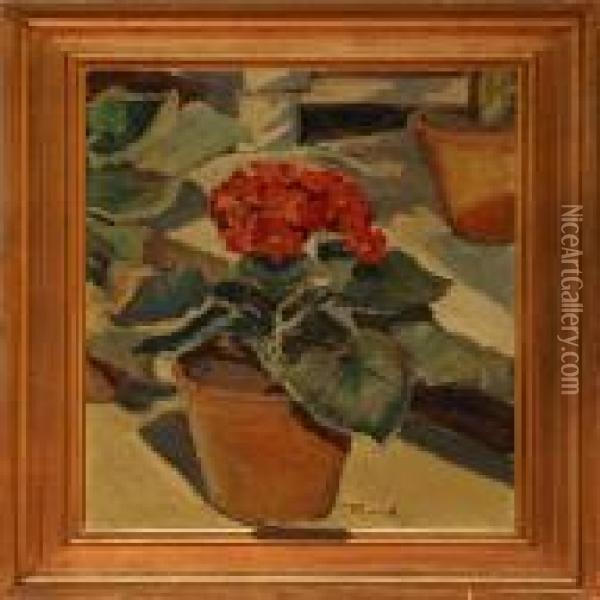 Still Life With Potplants Oil Painting - Ludvig Find