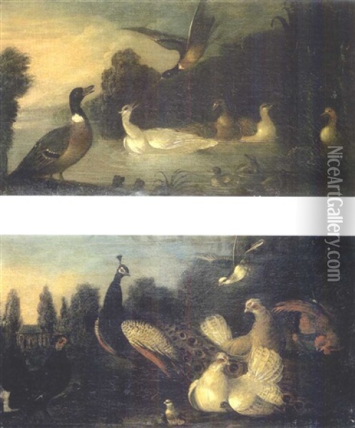 Canards Dans La Mare (+ Paon Et Autres Oiseaux Dans Un Parc; Pair) Oil Painting - Marmaduke Cradock
