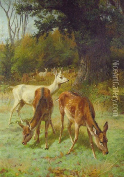 Deer Grazing In A Parkland Oil Painting - Adolf Heinrich Mackeprang
