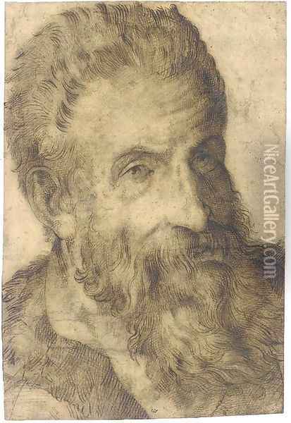 Portrait of a bearded man looking to the right, said to be Pellegrino Tibaldi Oil Painting - Bartolomeo Passarotti