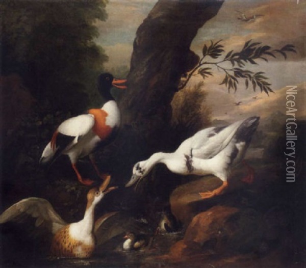 A Shelldrake And Other Ducks Around A Rock Pool In A Wooded Landscape Oil Painting - Jakob Bogdani