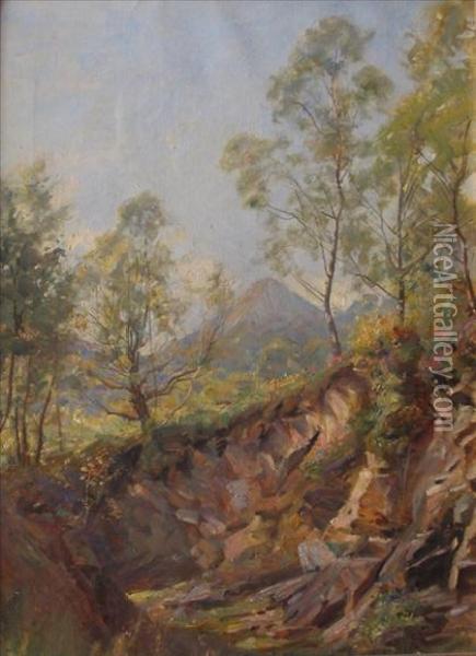 Ben-an In Trossachs By Loch Katrine Side Oil Painting - Robert Payton Reid