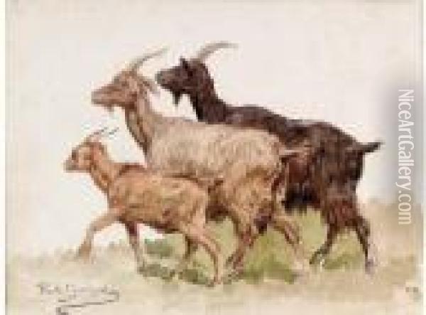 Three Goats Oil Painting - Rosa Bonheur