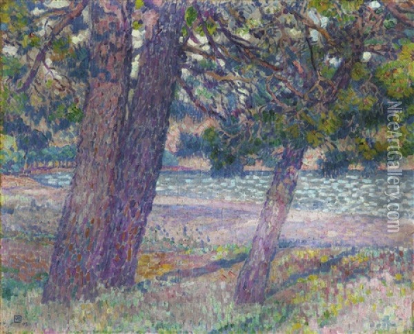 Pins A Cavalaire (3 Troncs) Oil Painting - Theo van Rysselberghe