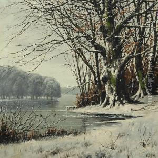 Winterscape From Fureso Oil Painting - Alexander Schmidt