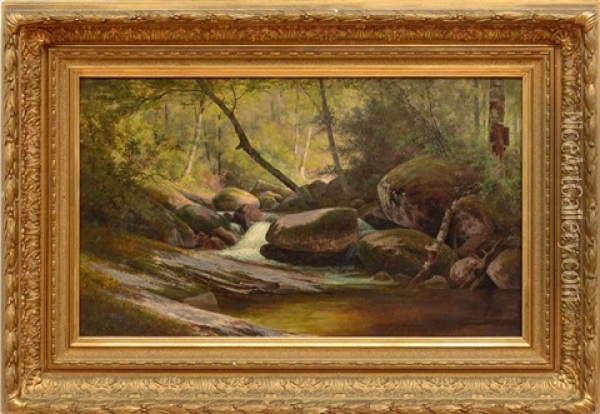 Woodland Stream Oil Painting - Edward Hill