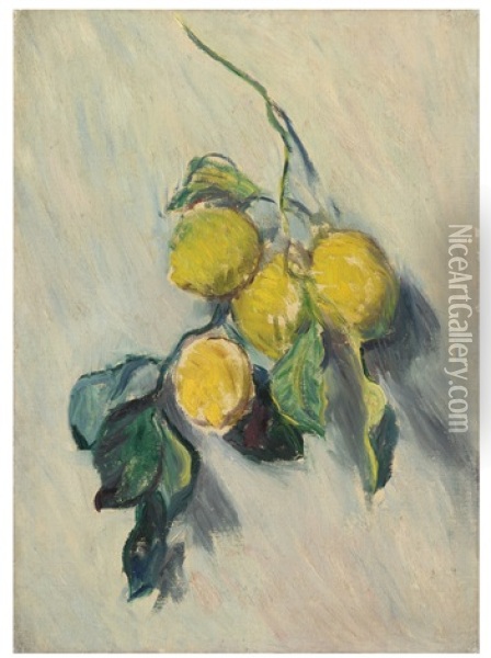 Branche De Citronnier Oil Painting - Claude Monet