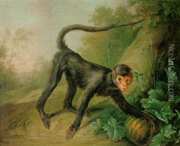 A Wooded Landscape With A Black Spider Monkey At The Base Of A Tree Oil Painting - Christophe Huet