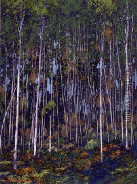 Silver Birch Grove Oil Painting - Francis Hans Johnston