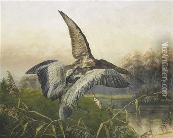 Hawk Attacking A Heron Oil Painting - Johannes Gerardus Keulemans