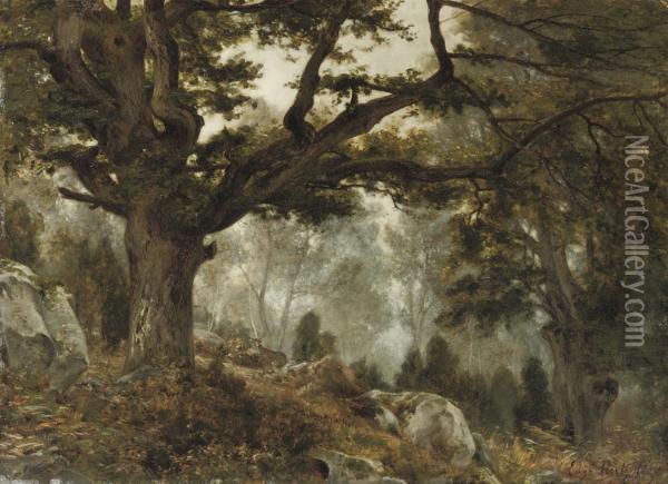 The Forest Of Fontainebleau, France Oil Painting - Eugene Berthelon